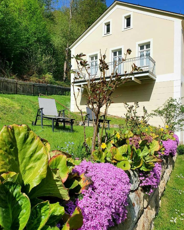 Hotel Garni Dekorahaus Bad Schandau Zewnętrze zdjęcie