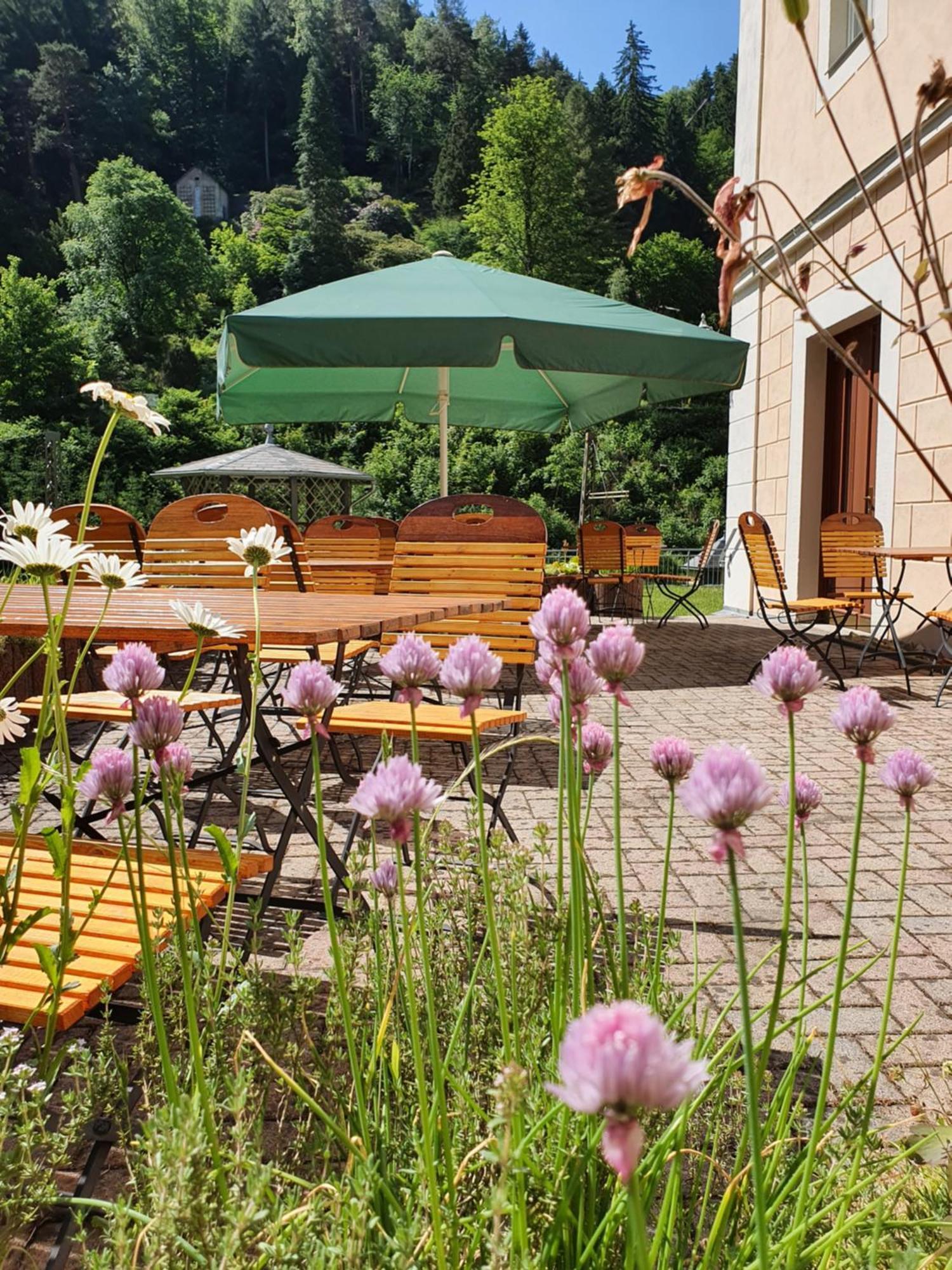 Hotel Garni Dekorahaus Bad Schandau Zewnętrze zdjęcie