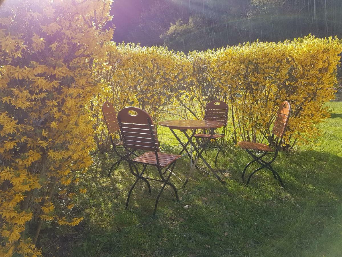 Hotel Garni Dekorahaus Bad Schandau Zewnętrze zdjęcie