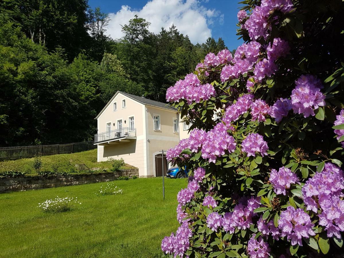 Hotel Garni Dekorahaus Bad Schandau Zewnętrze zdjęcie